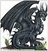 Black dragon's Avatar