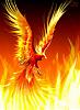 God Phoenix's Avatar